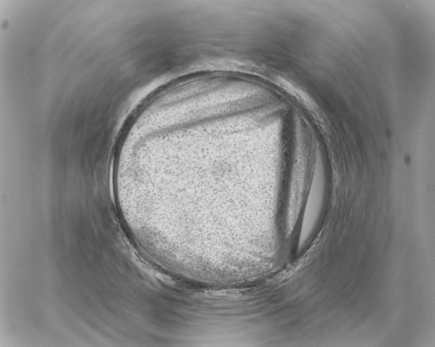 X0000059041272200511041627