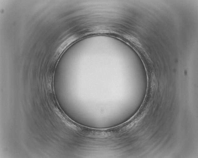 X0000059041273200511041627