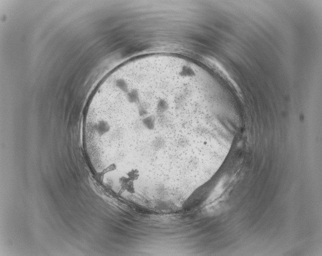 X0000059041276200511041627