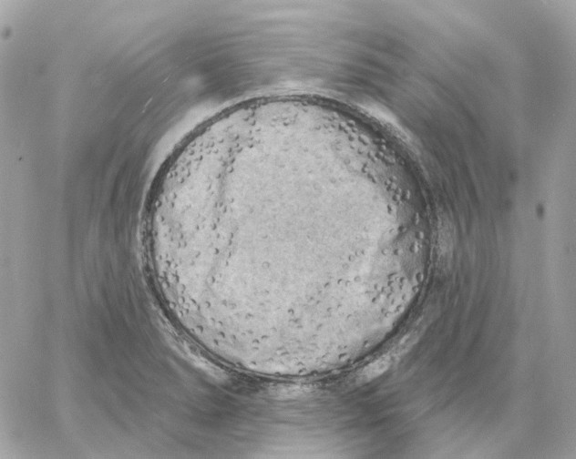 X0000059041278200511041627