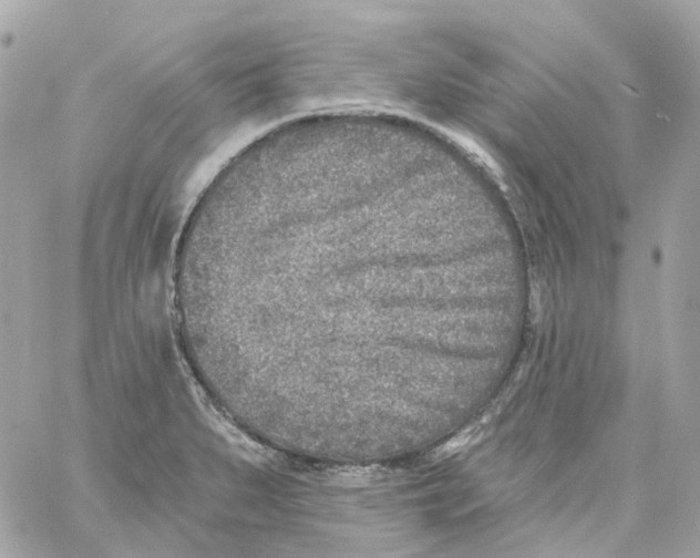 X0000059041279200511041627