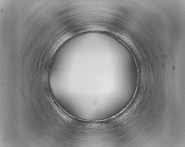 X0000059041281200511041627