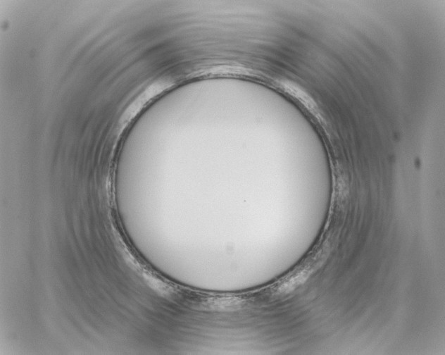 X0000059041282200511041627