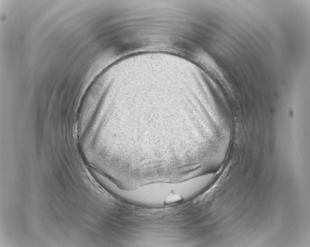 X0000059041284200511041627