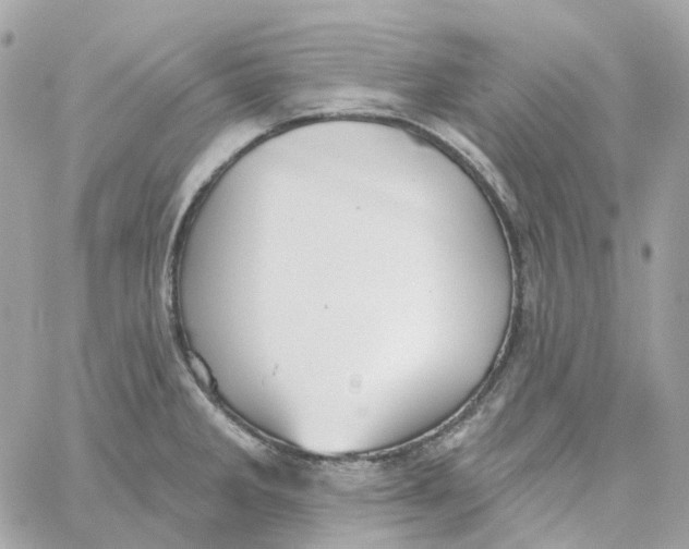 X0000059041285200511041627