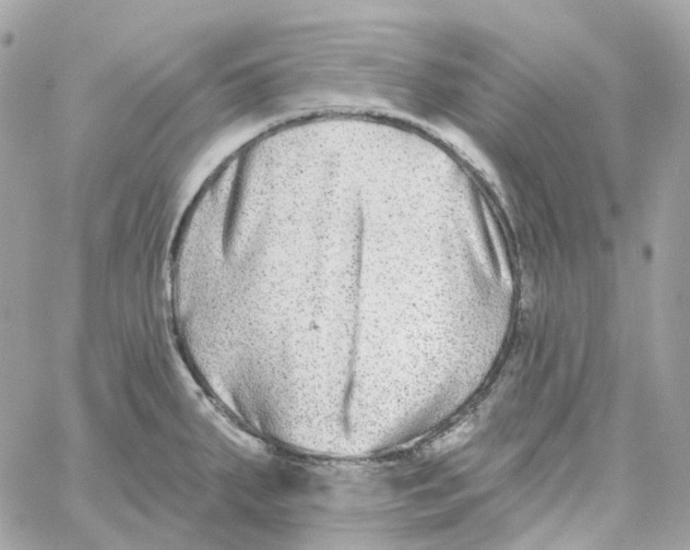 X0000059041287200511041627