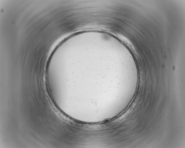 X0000059041288200511041627