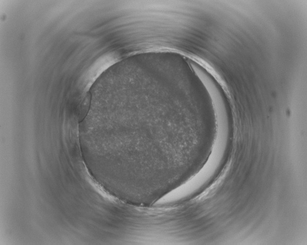 X0000059041289200511041627