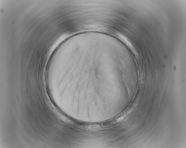 X0000059041291200511041627