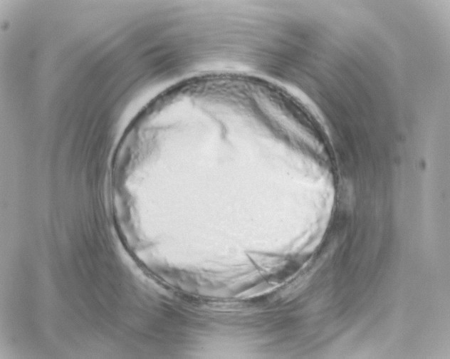 X0000059041295200511041627