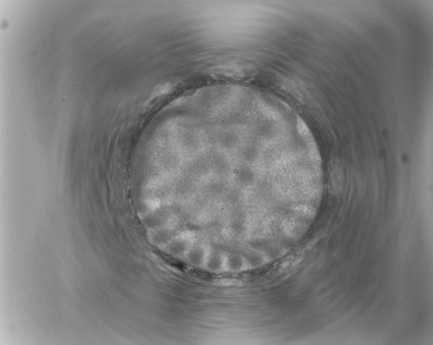 X0000059041297200511041626