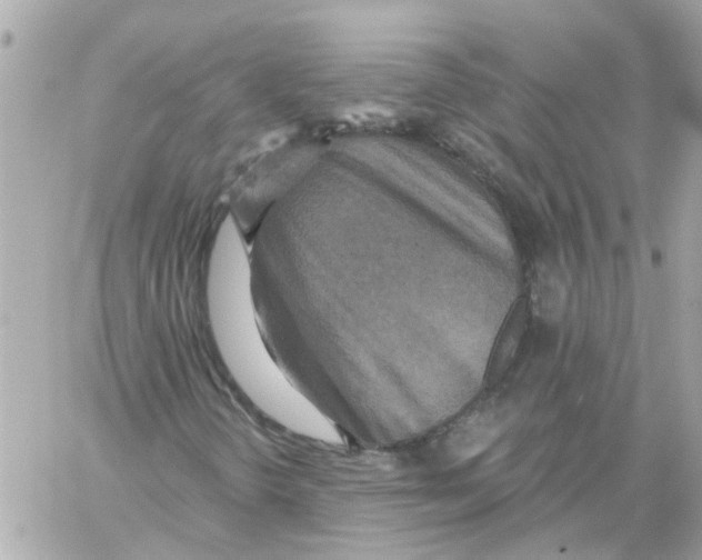 X0000059041298200511041626