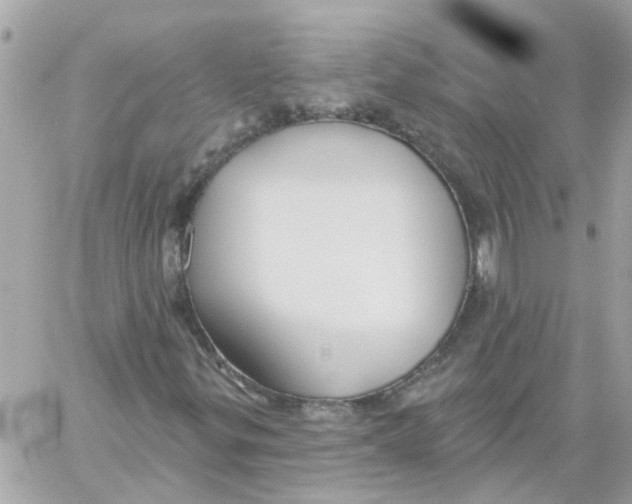 X0000059041299200511041626