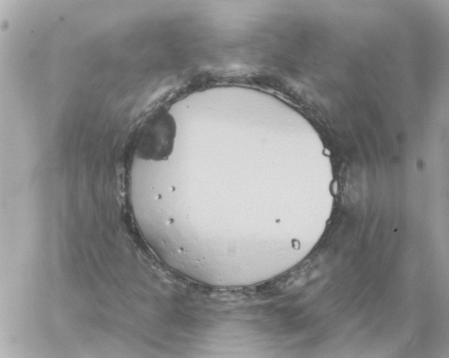 X0000059041301200511041626