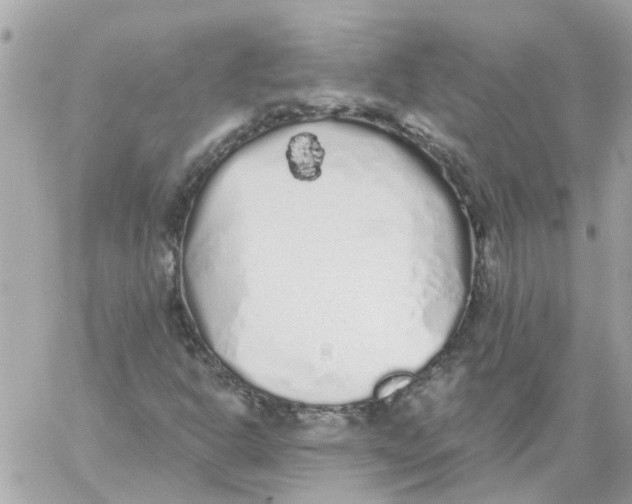 X0000059041302200511041626