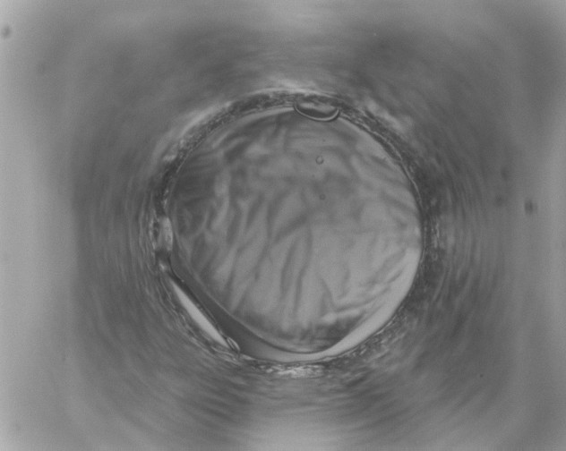 X0000059041303200511041626