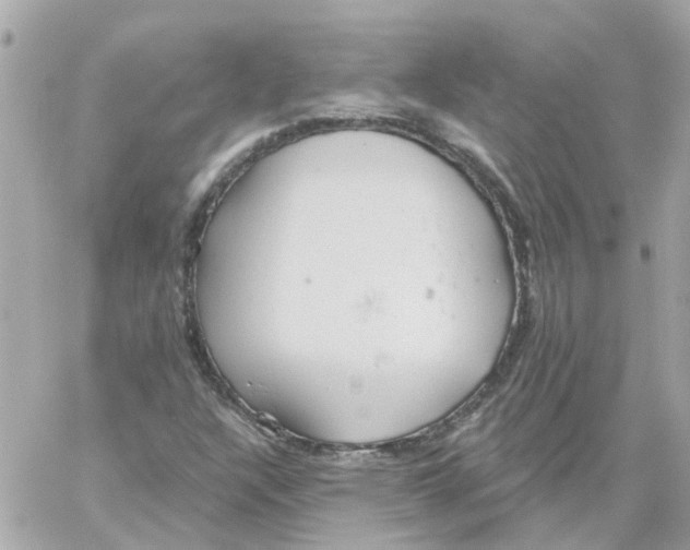 X0000059041304200511041626