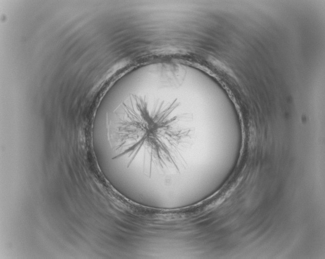 X0000059041305200511041626