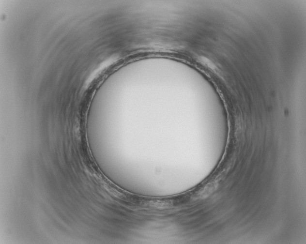 X0000059041307200511041626