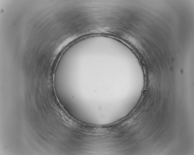 X0000059041308200511041626