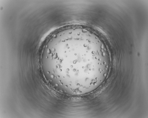 X0000059041310200511041626