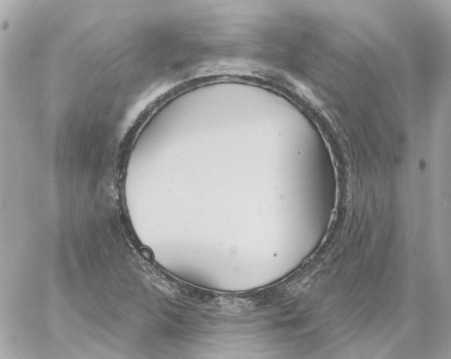 X0000059041312200511041626