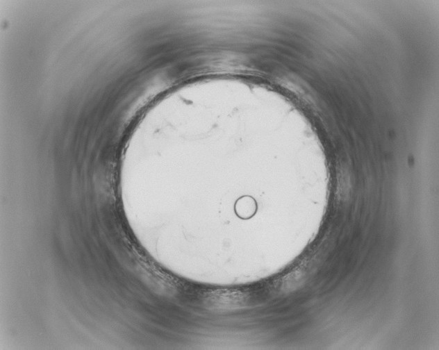 X0000059041314200511041626