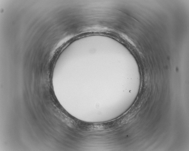 X0000059041315200511041626