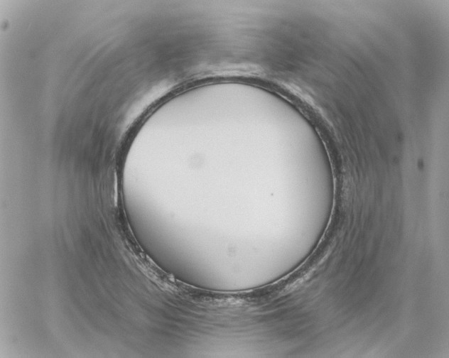 X0000059041317200511041626