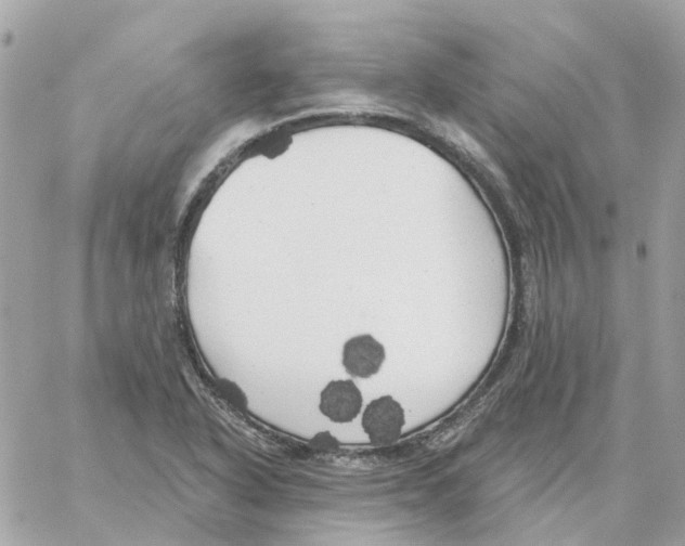 X0000059041318200511041626