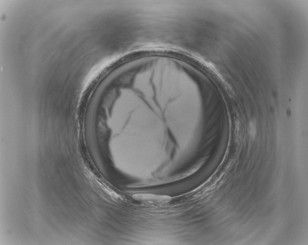 X0000059041319200511041626