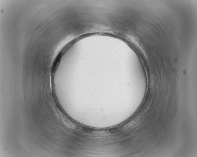 X0000059041320200511041626