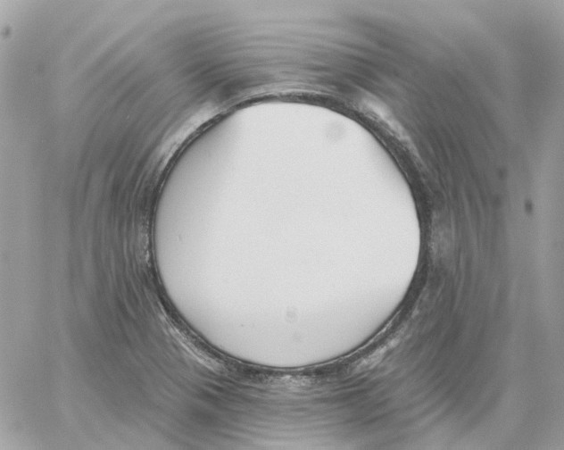 X0000059041321200511041626