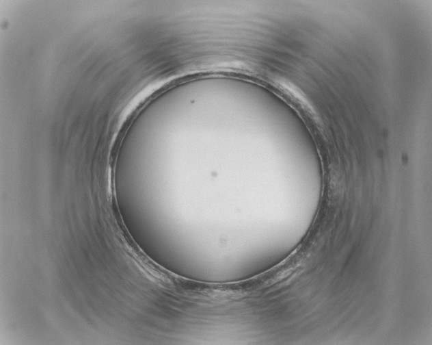 X0000059041324200511041626