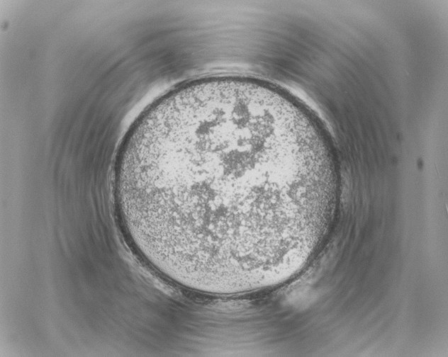 X0000059041325200511041626