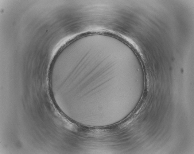 X0000059041327200511041626