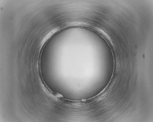 X0000059041330200511041626