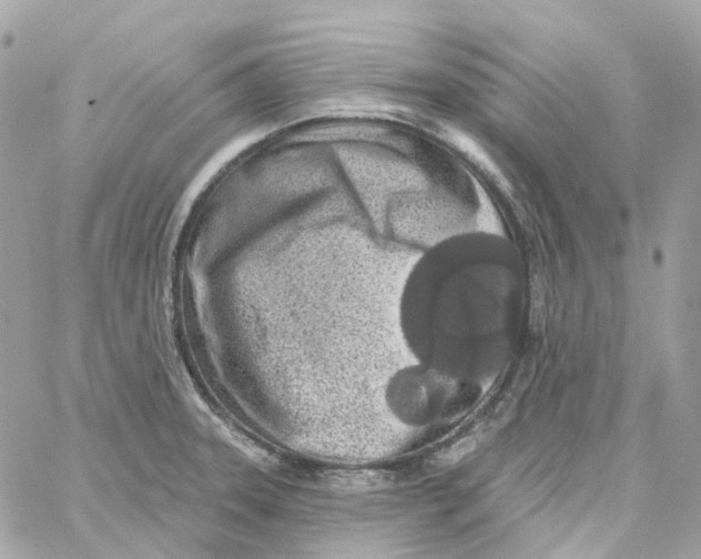 X0000059041331200511041626