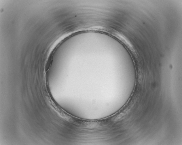 X0000059041332200511041626