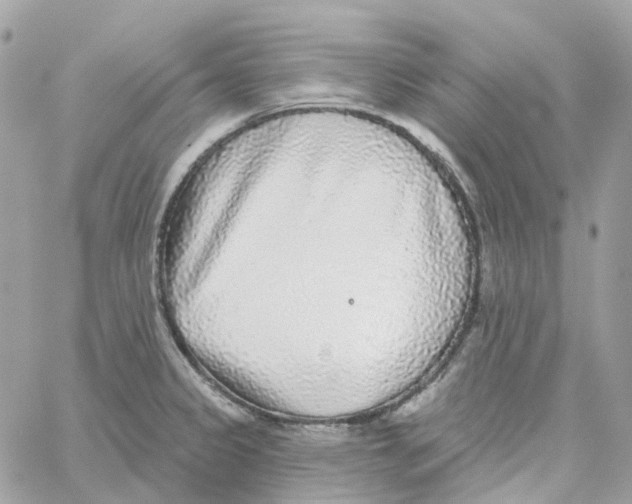 X0000059041333200511041626