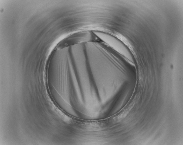 X0000059041334200511041626