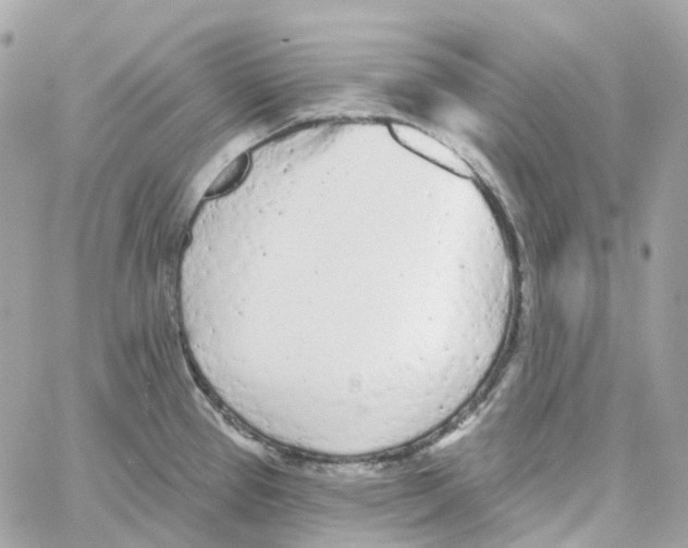 X0000059041337200511041626