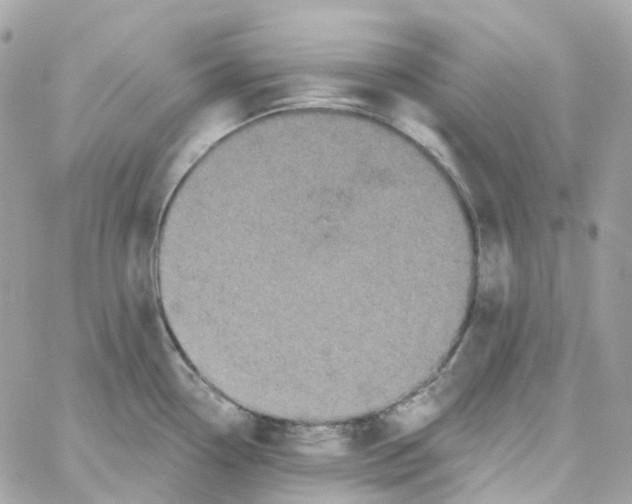 X0000059041338200511041627