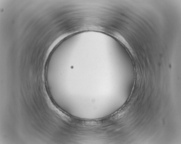 X0000059041339200511041627