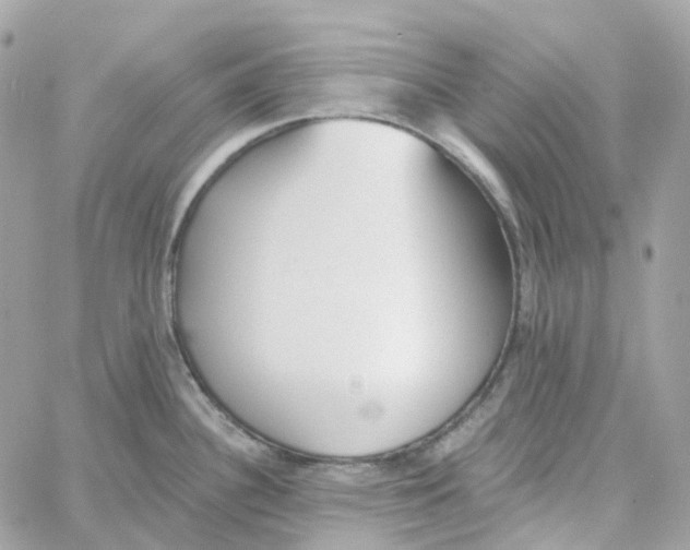 X0000059041340200511041627