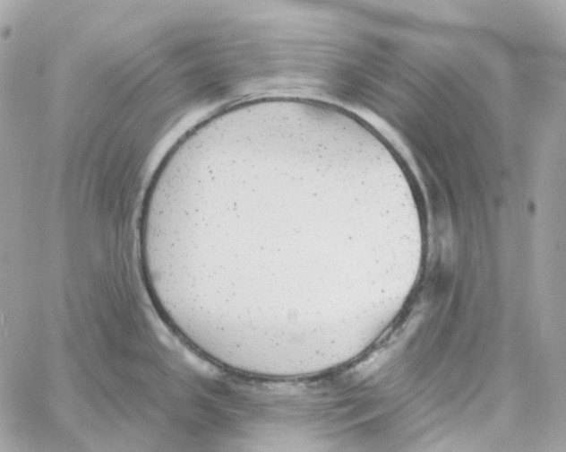 X0000059041341200511041627