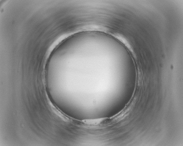 X0000059041342200511041627