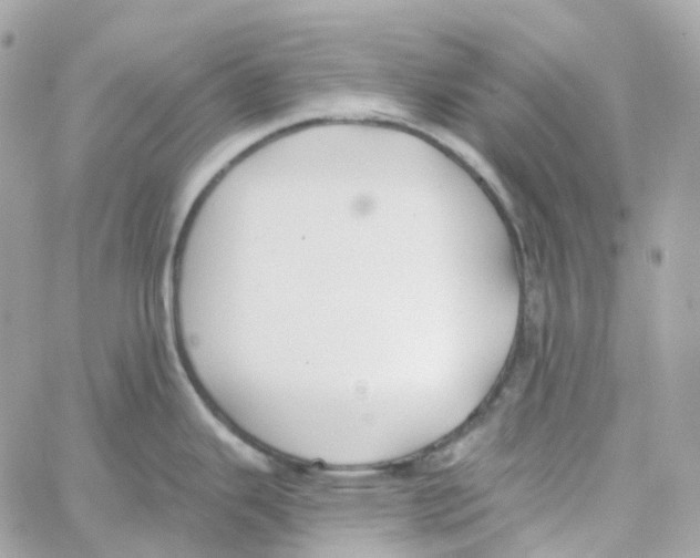 X0000059041343200511041627