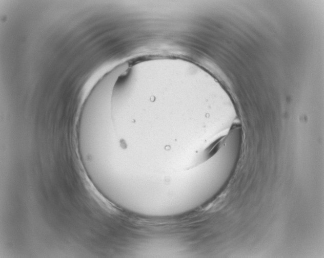 X0000059041344200511041627