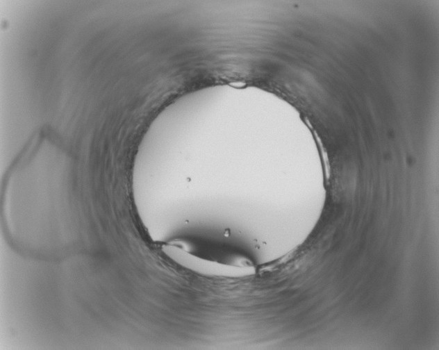 X0000059041345200511041626